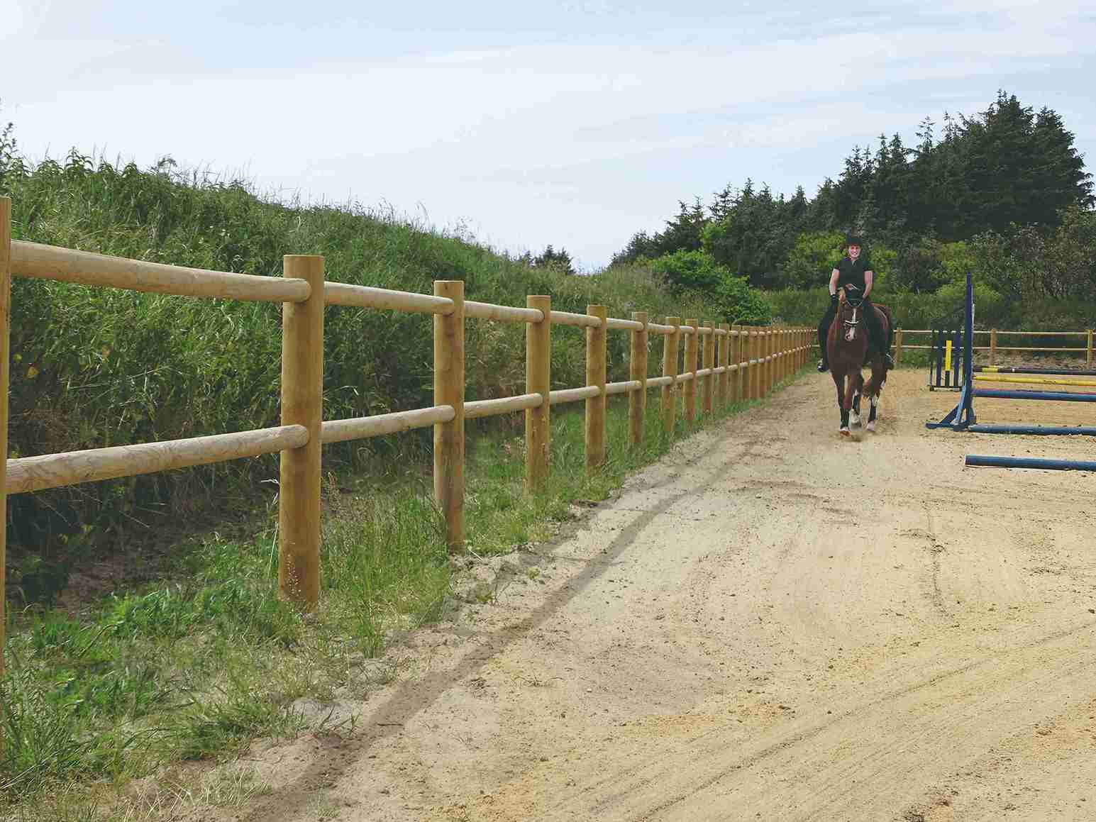 Eine Reiterin führt ihr Pferd auf einem Springplatz. Die Arena ist von einem Holzzaun umgeben.