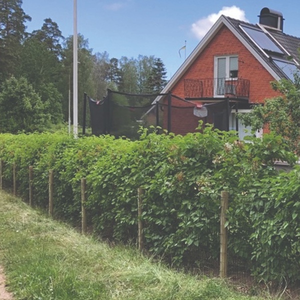 Ein Lux-Gartenzaun umschließt einen schönen Garten mit Trampolin, Fahnenmast und Pflanzen