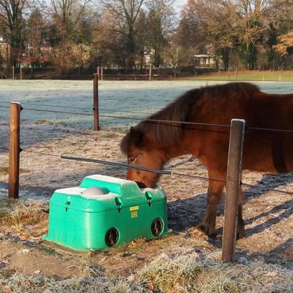 An einem Wintermorgen trinkt ein Pferd aus einem Trogtränke. Das Pferd steht hinter einem Zaun