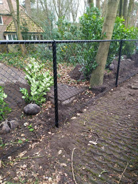 Im hinteren Teil eines Gartens trennt ein Maschendrahtzaun den Garten von einem Weg